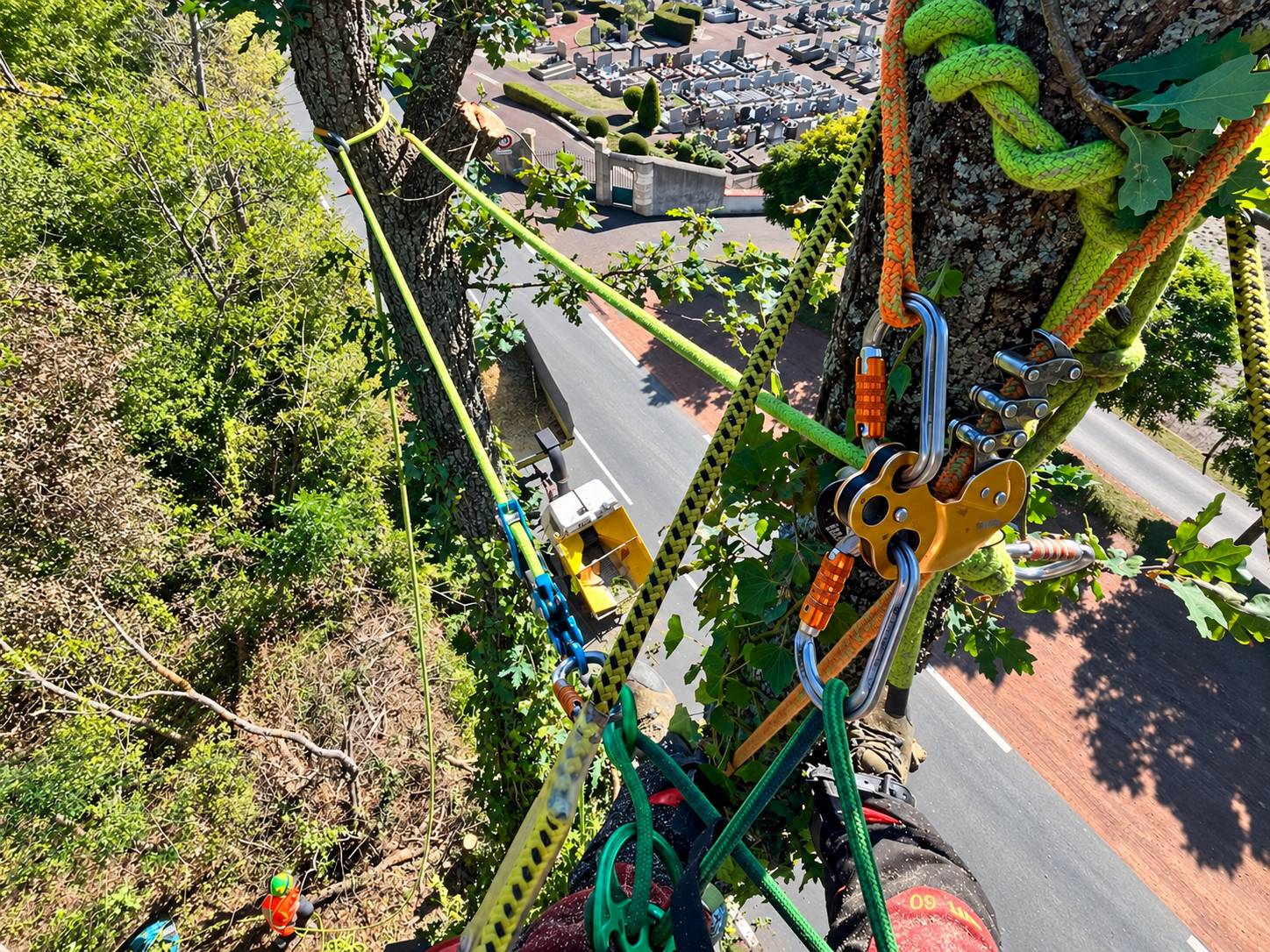 Vue plongeante depuis un arbre où un élagueur grimpeur, équipé de cordes et de mousquetons, travaille au-dessus d'une route, avec un collègue au sol et un cimetière au loin.